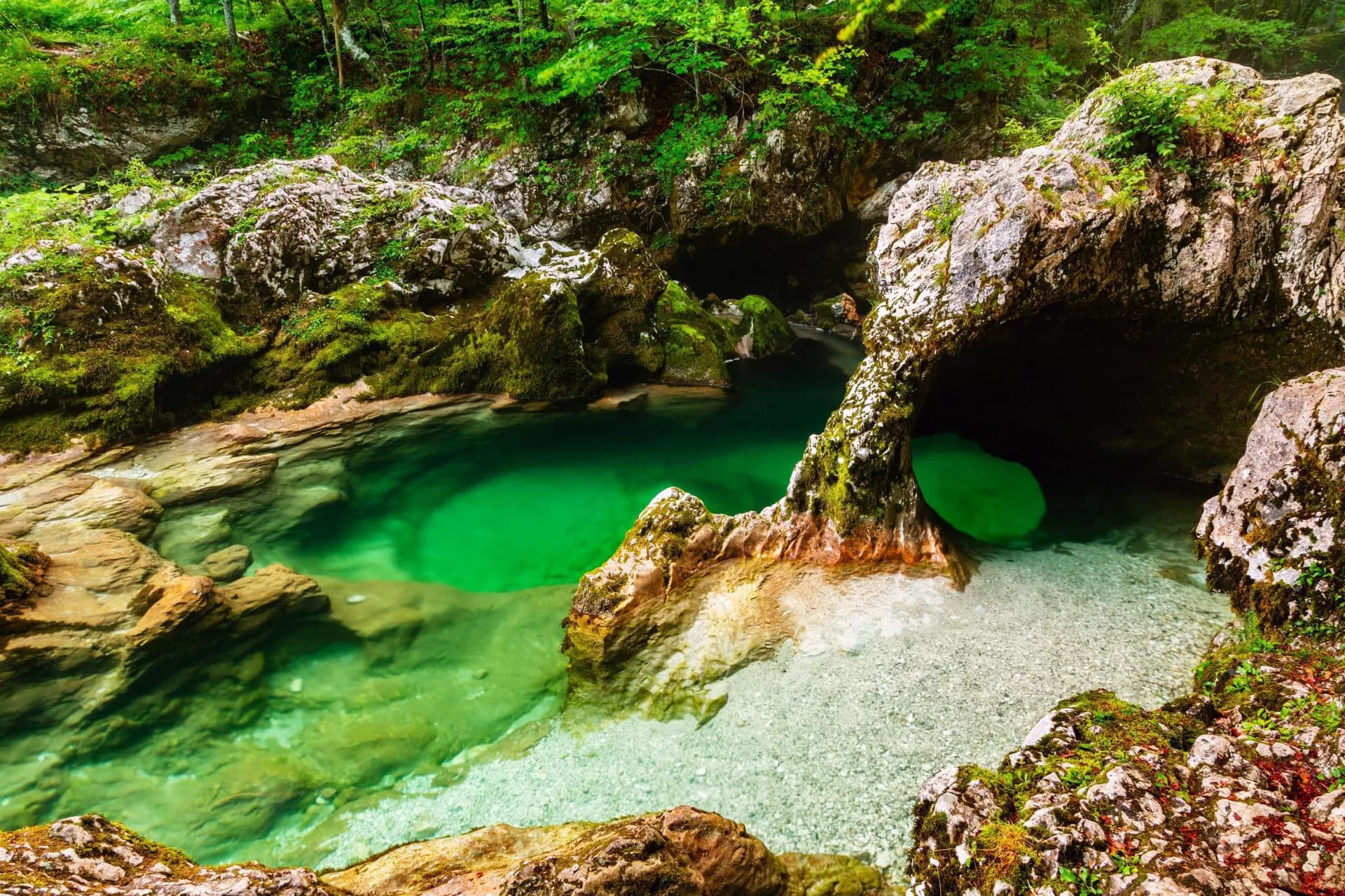 Emerald green pool in a rocky gorge surrounded by moss and lush green forest