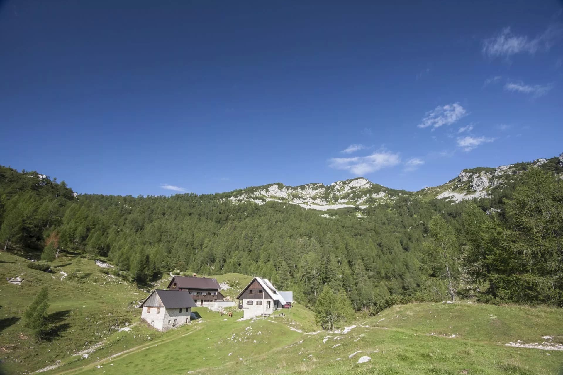 Mountain huts on grassy slope below forested peaks under clear blue sky, Blejska Hut Lipanca.