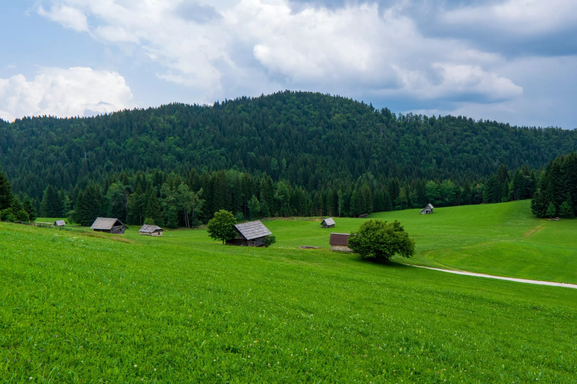 Wooden log cabins in a lush green meadow near a dense forest, Bohinjska Bistrica.